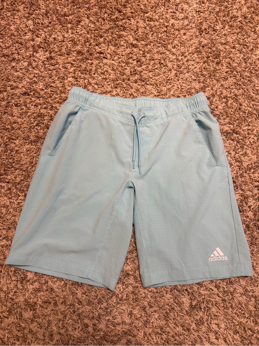 Adidas Golf Men's Small Light Blue Athletic Shorts with pockets